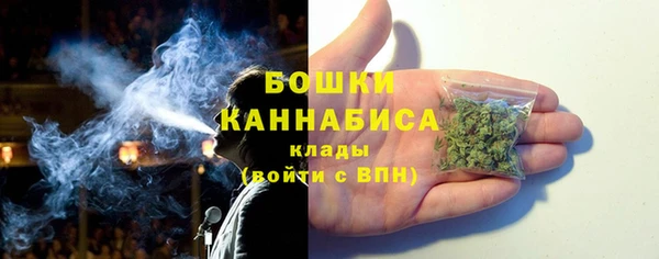стафф Кулебаки