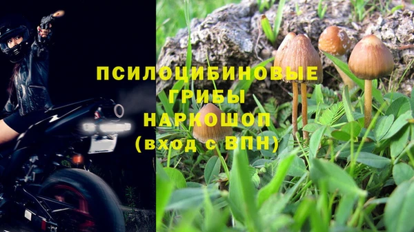 соль курить ск Алексеевка