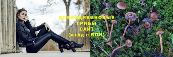 стафф Кулебаки