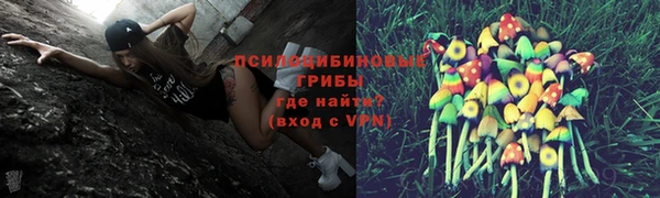 ECSTASY Армянск