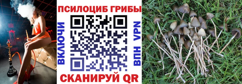 Галлюциногенные грибы мухоморы  где купить наркоту  Москва 